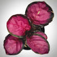 calathea rosy for sale, calathea rosy  buy online, calathea rosy  price, calathea rosy shop